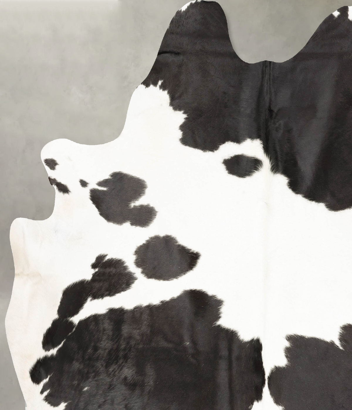 Black and White XX-Large Brazilian Cowhide Rug 8'3"H x 6'10"W #B27115 by Hudson Hides