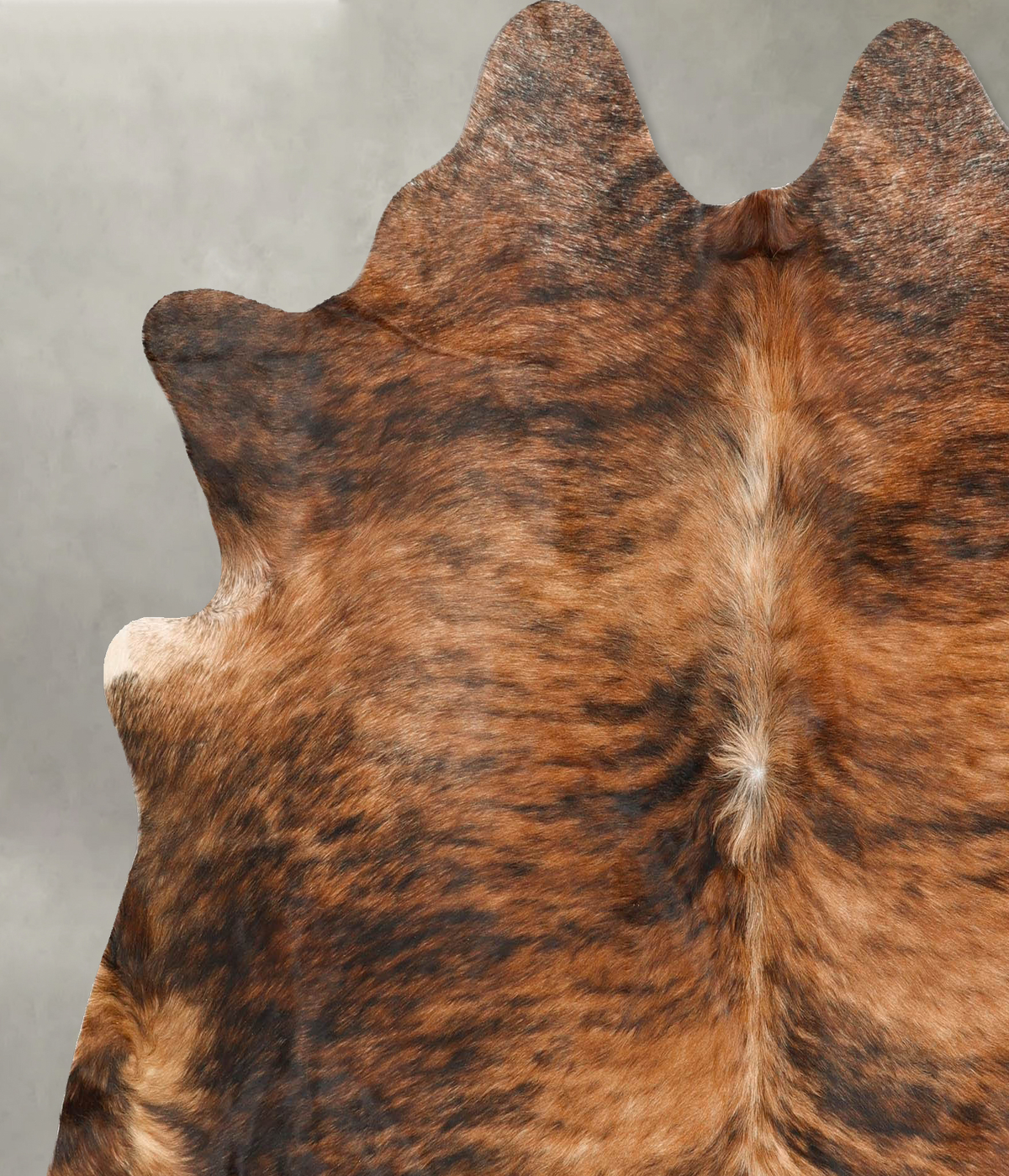 Medium Brindle X-Large Brazilian Cowhide Rug 6'3"H x 6'5"W #B27123 by Hudson Hides