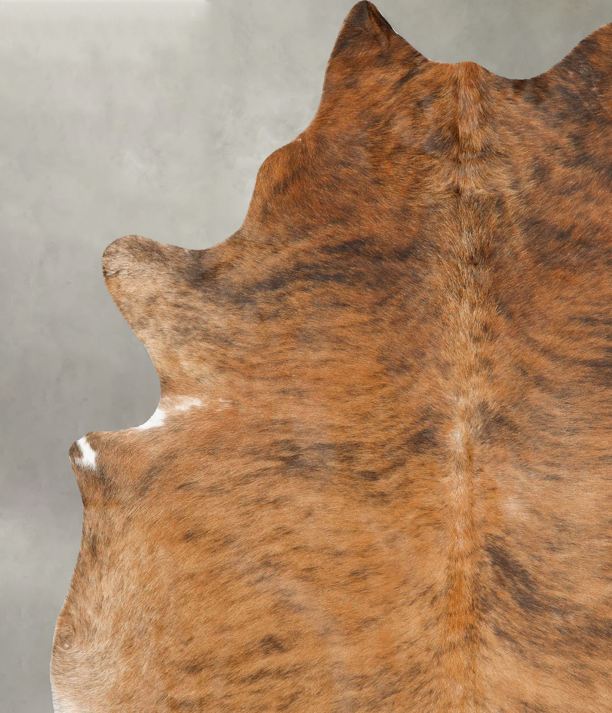 Medium Brindle X-Large Brazilian Cowhide Rug 7'5"H x 6'1"W #B27124 by Hudson Hides