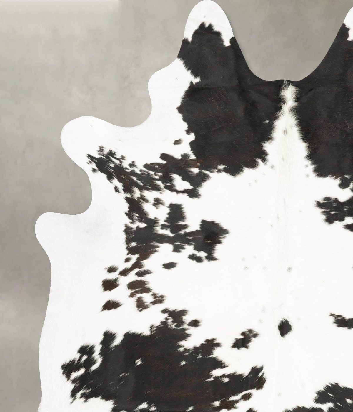 Black and White XX-Large Brazilian Cowhide Rug 7'10"H x 6'5"W #B27133 by Hudson Hides