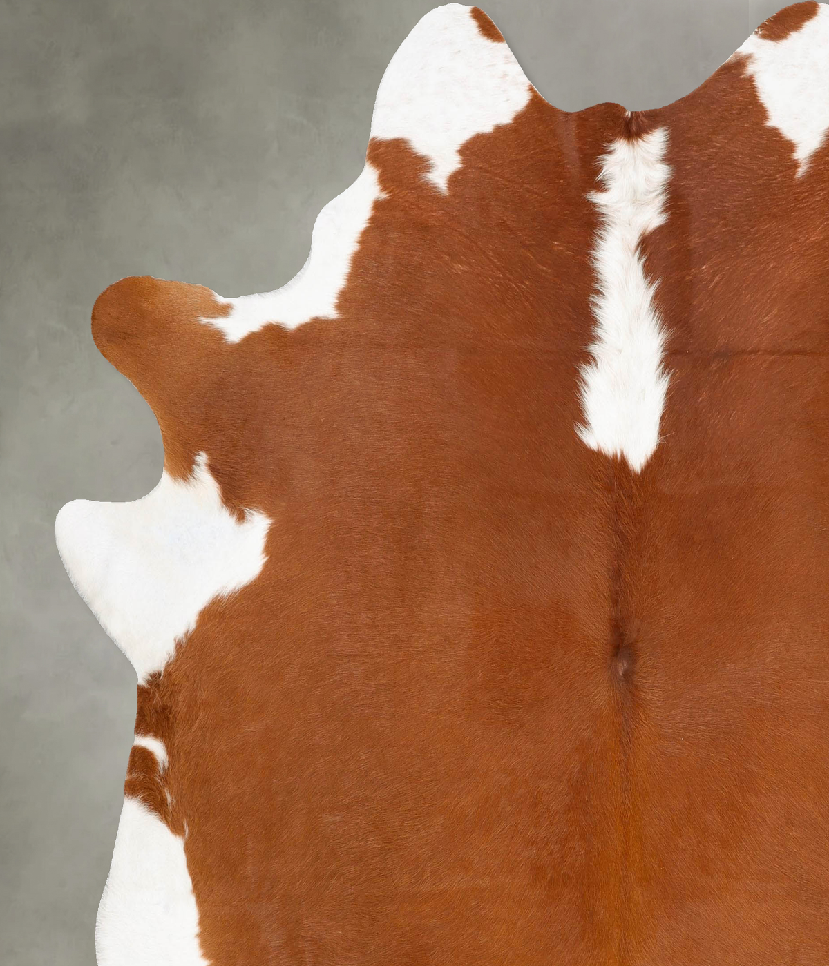 Hereford XX-Large Brazilian Cowhide Rug 7'10"H x 7'3"W #B27136 by Hudson Hides