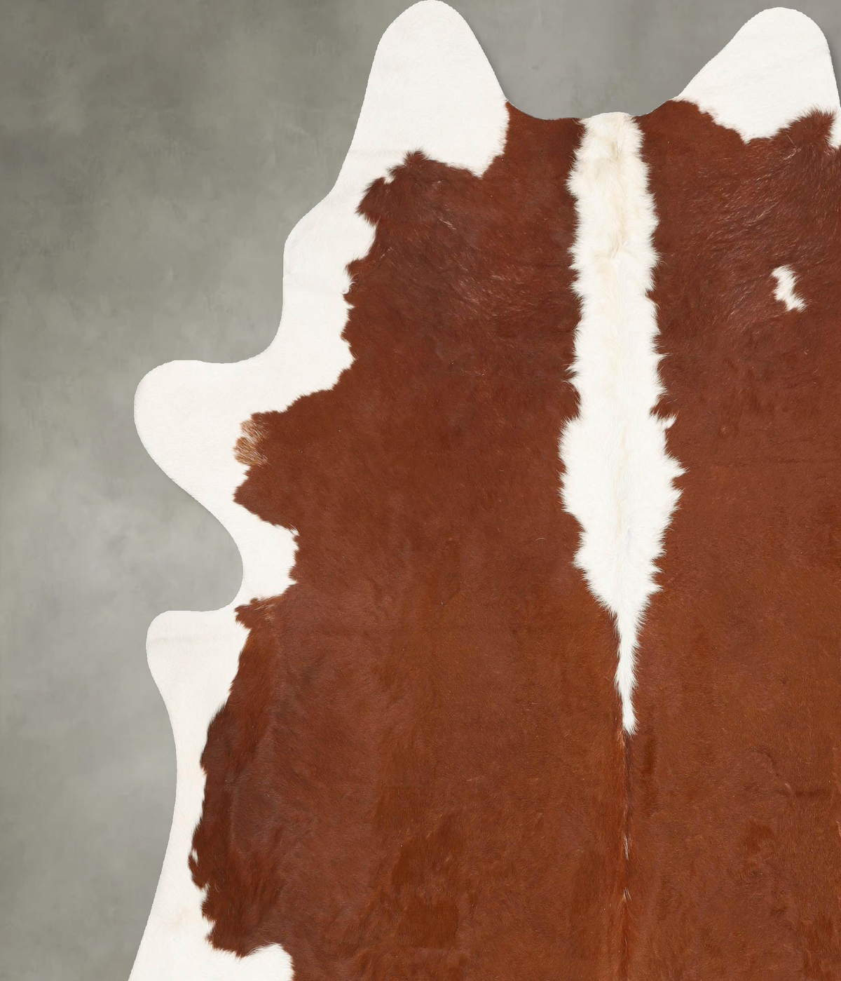 Hereford XX-Large Brazilian Cowhide Rug 8'4"H x 7'9"W #B27140 by Hudson Hides