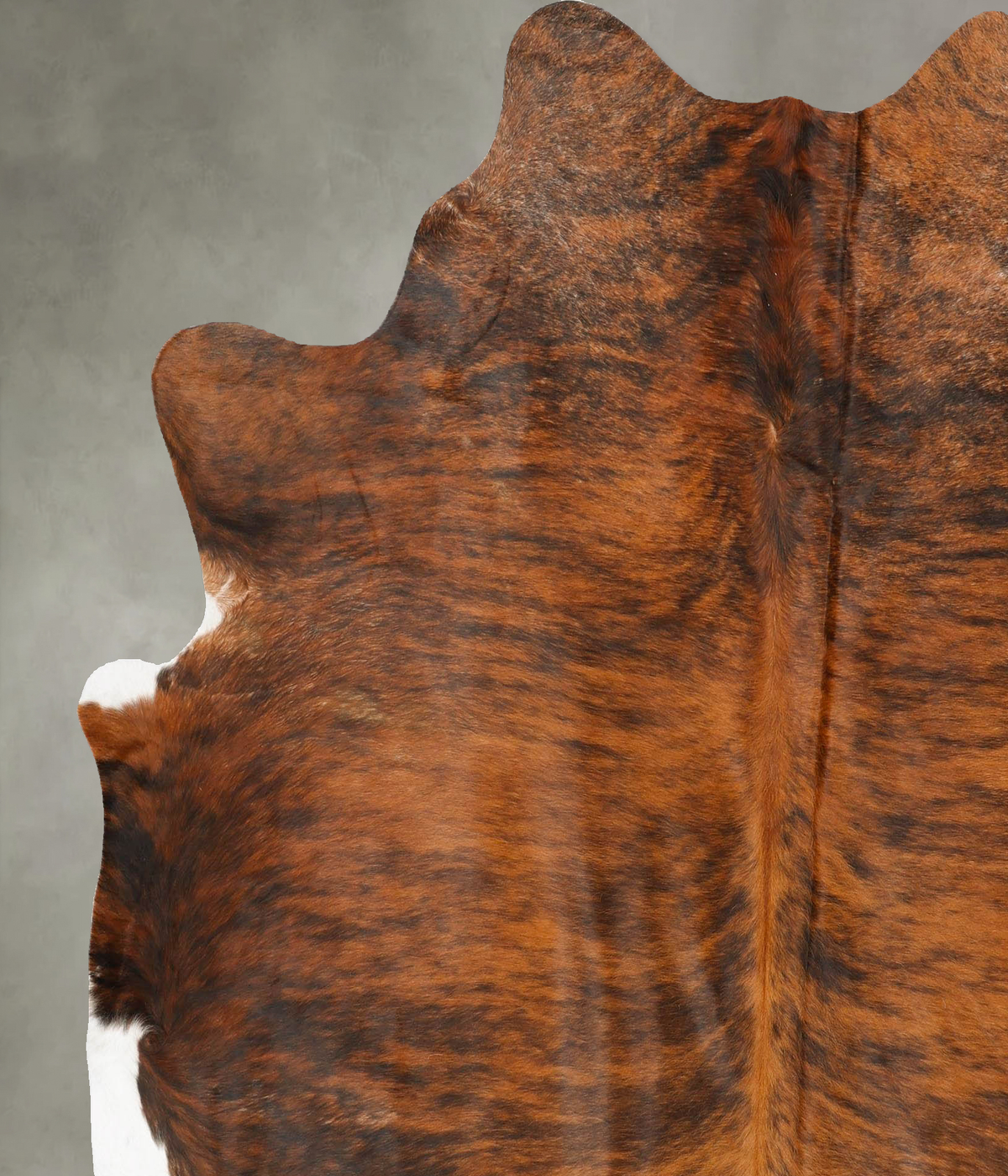 Medium Brindle X-Large Brazilian Cowhide Rug 7'1"H x 6'5"W #B27147 by Hudson Hides
