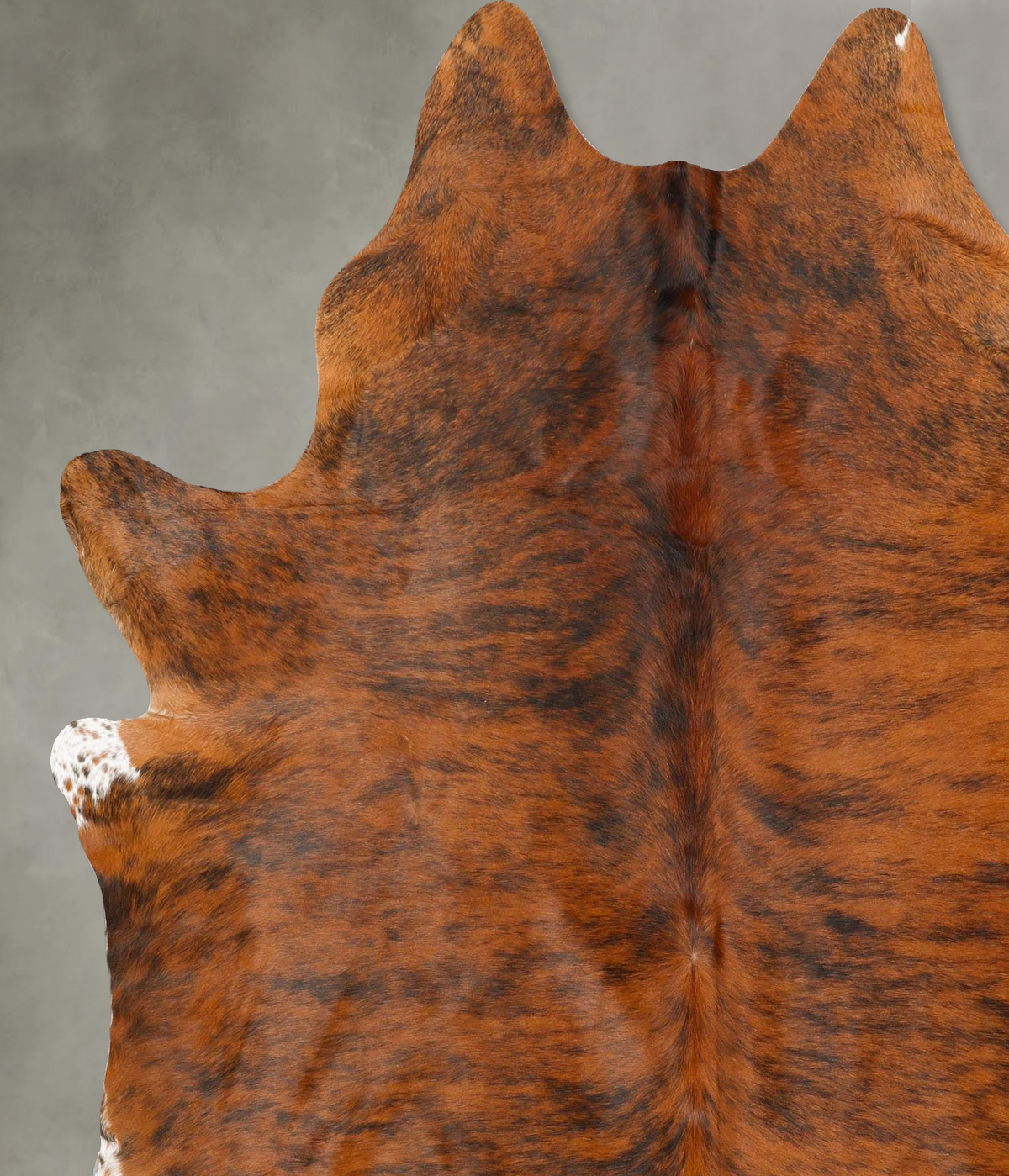 Medium Brindle X-Large Brazilian Cowhide Rug 7'1"H x 6'3"W #B27149 by Hudson Hides
