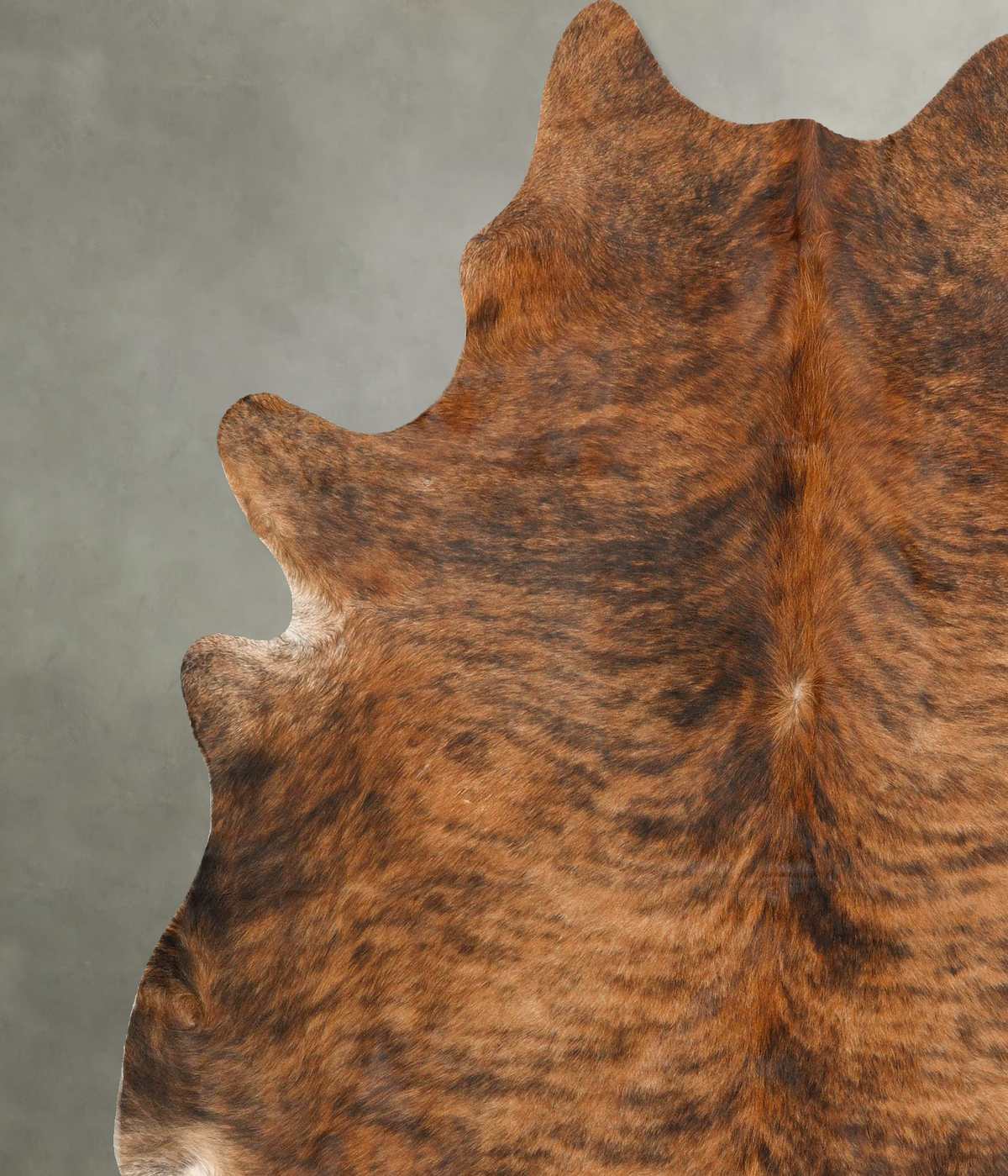 Medium Brindle X-Large Brazilian Cowhide Rug 7'4"H x 6'7"W #B27150 by Hudson Hides