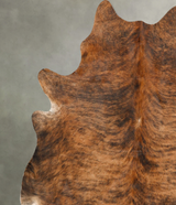 Medium Brindle X-Large Brazilian Cowhide Rug 7'4"H x 6'7"W #B27150 by Hudson Hides