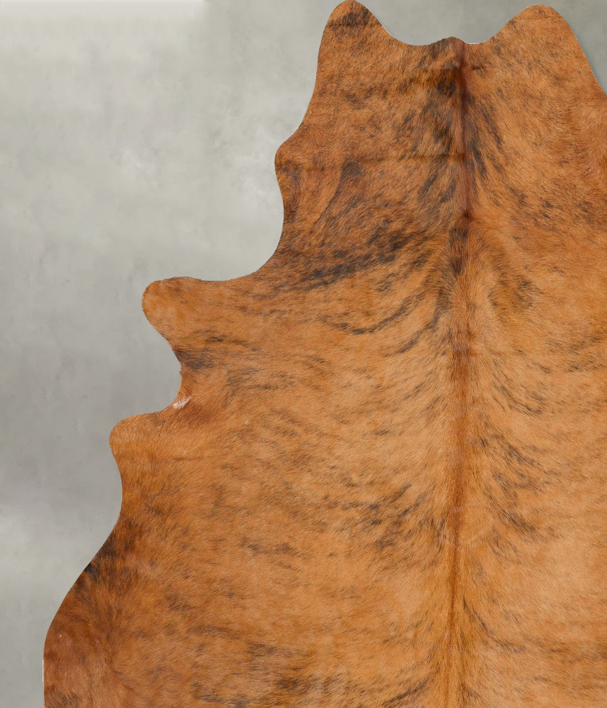 Medium Brindle X-Large Brazilian Cowhide Rug 7'8"H x 6'4"W #B27151 by Hudson Hides