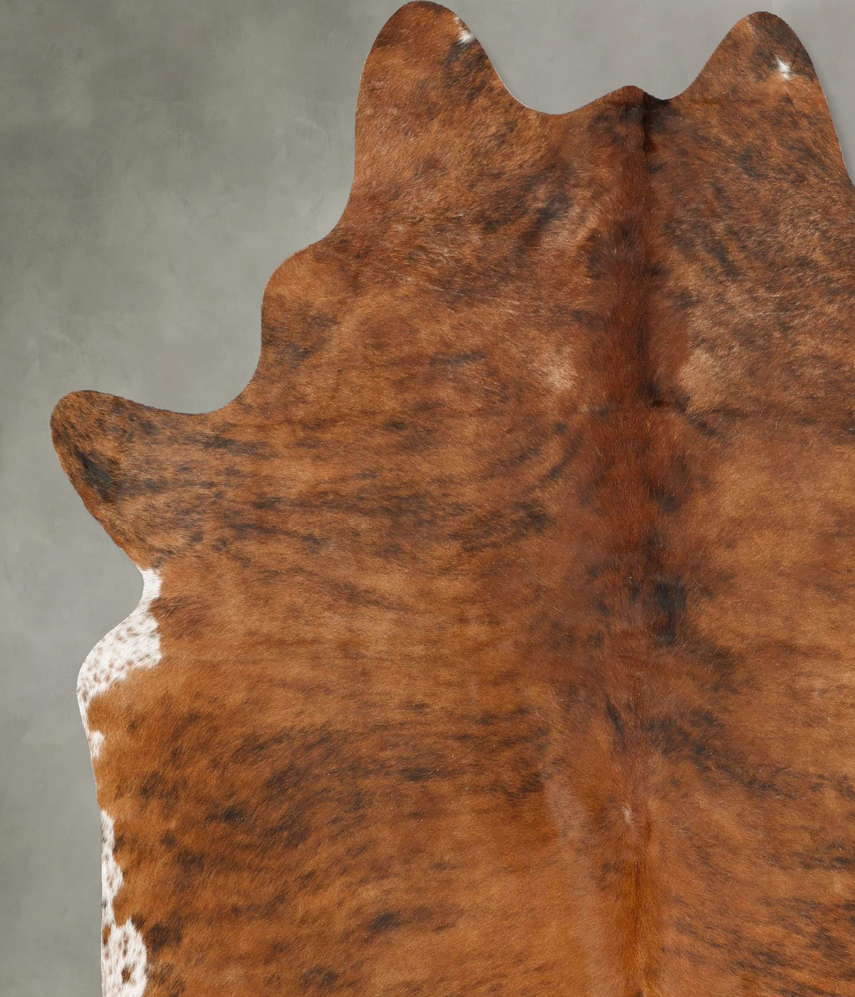 Medium Brindle X-Large Brazilian Cowhide Rug 7'2"H x 5'10"W #B27152 by Hudson Hides