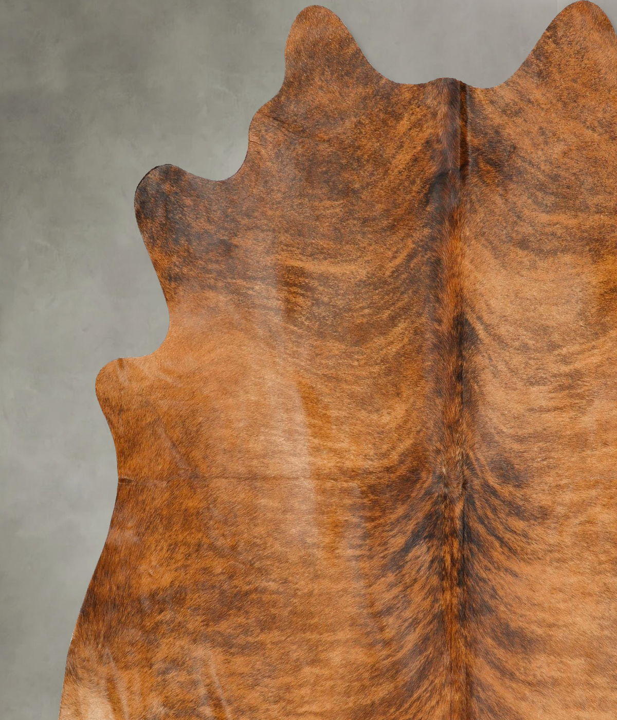 Medium Brindle X-Large Brazilian Cowhide Rug 6'8"H x 6'6"W #B27155 by Hudson Hides