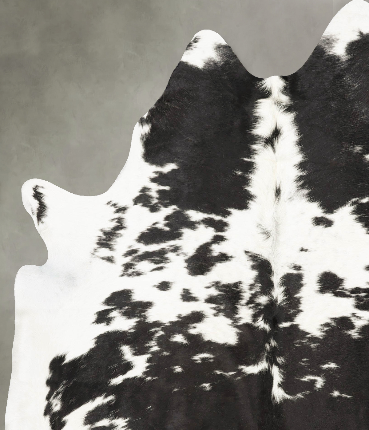 Black and White XX-Large Brazilian Cowhide Rug 8'3"H x 6'4"W #B27159 by Hudson Hides
