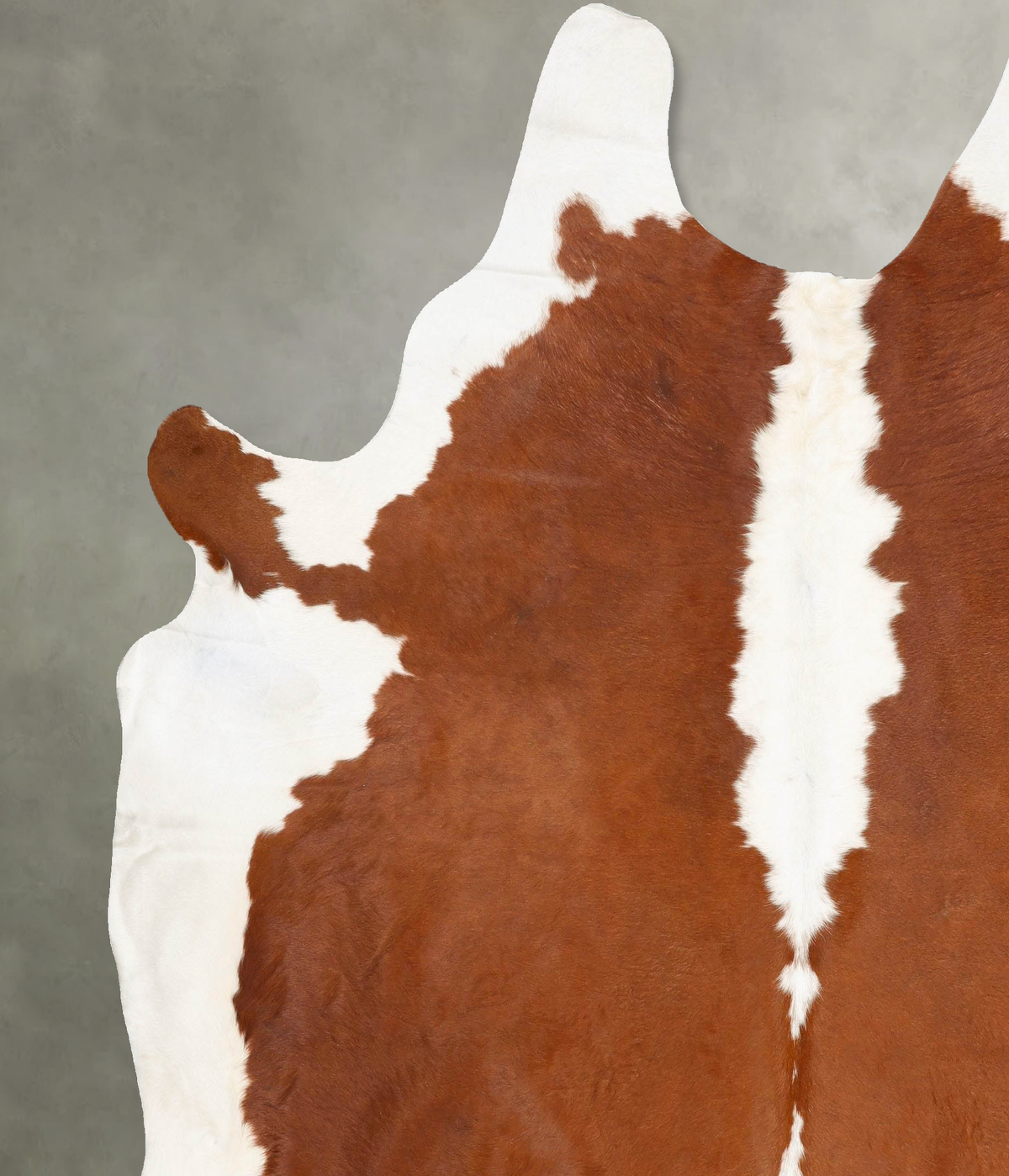 Hereford XX-Large Brazilian Cowhide Rug 8'6"H x 7'2"W #B27161 by Hudson Hides