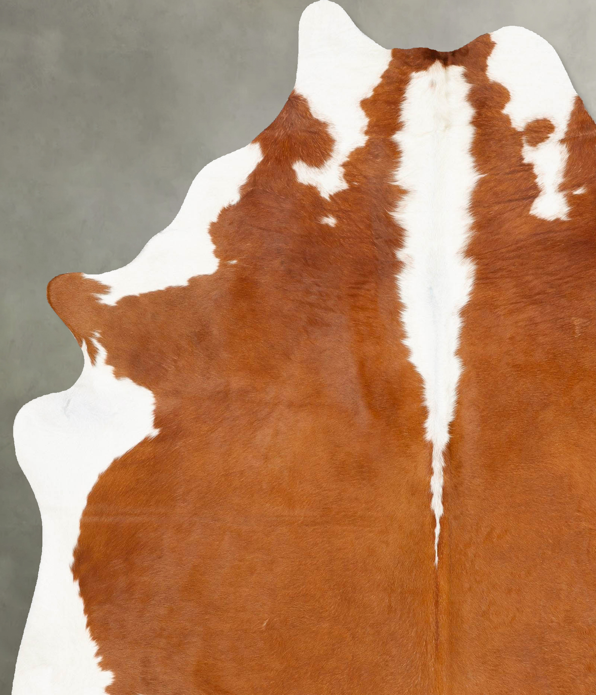 Hereford X-Large Brazilian Cowhide Rug 7'9"H x 6'3"W #B27162 by Hudson Hides