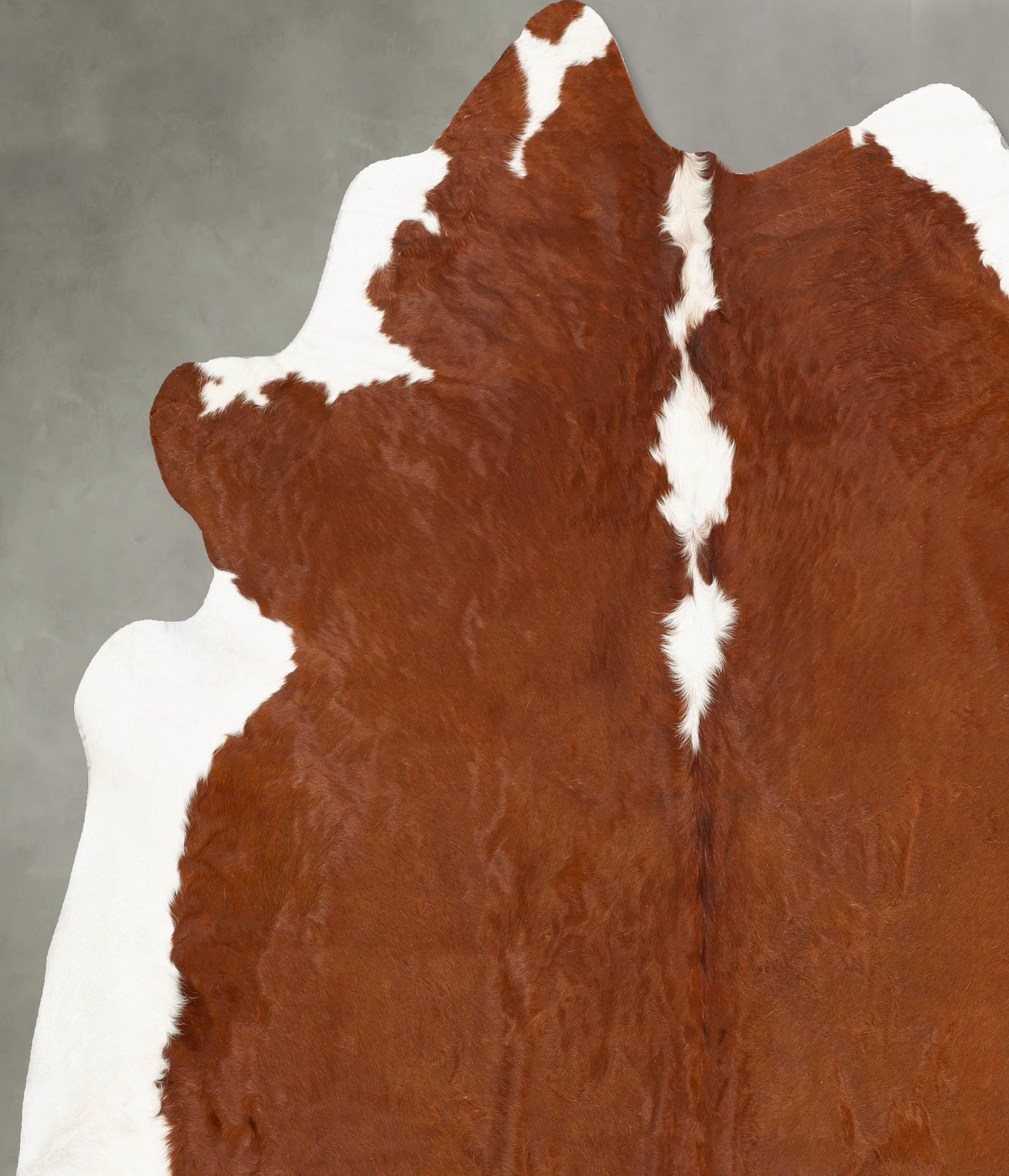 Hereford XX-Large Brazilian Cowhide Rug 7'10"H x 7'5"W #B27163 by Hudson Hides