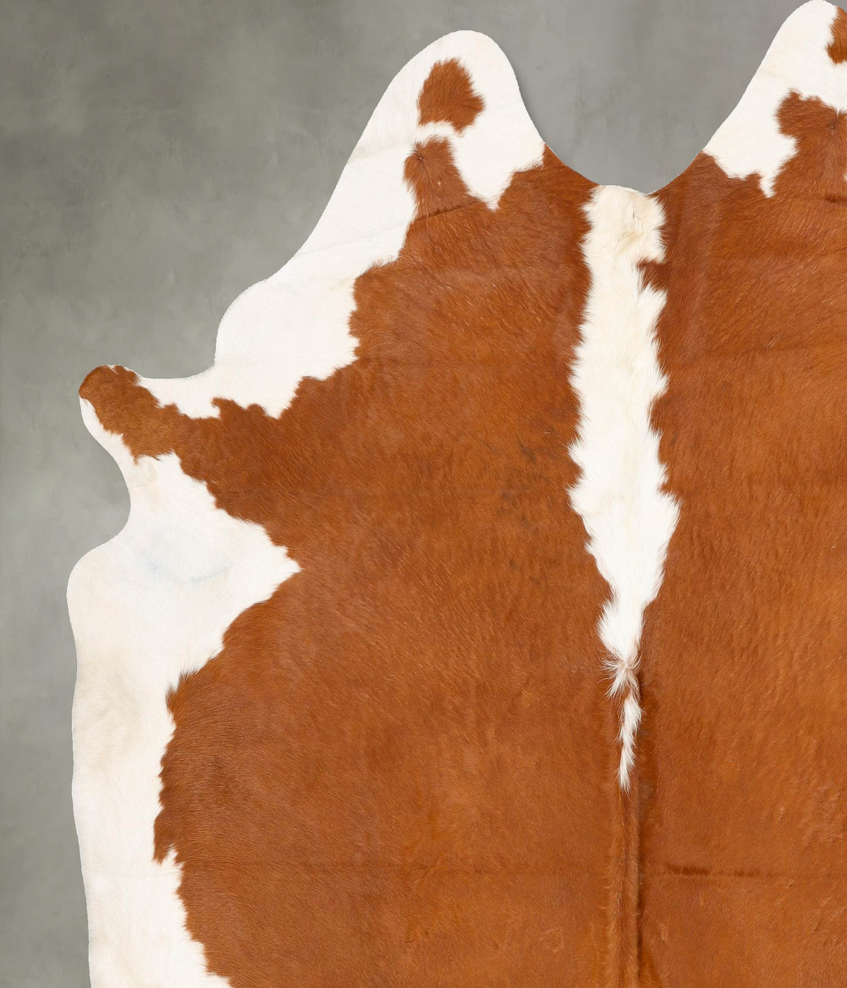 Hereford XX-Large Brazilian Cowhide Rug 8'7"H x 7'7"W #B27165 by Hudson Hides