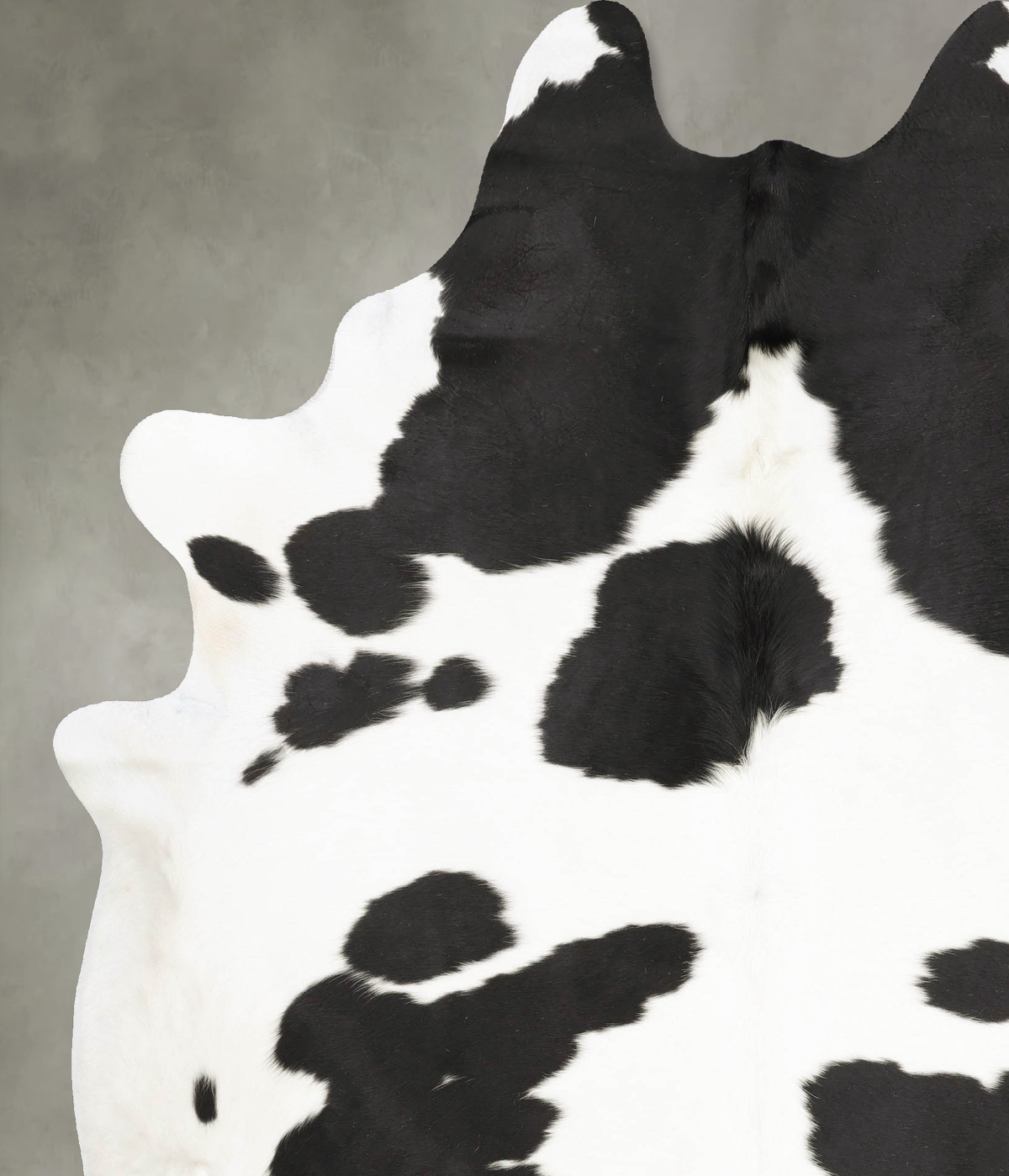 Black and White XX-Large Brazilian Cowhide Rug 8'5"H x 6'5"W #B27170 by Hudson Hides