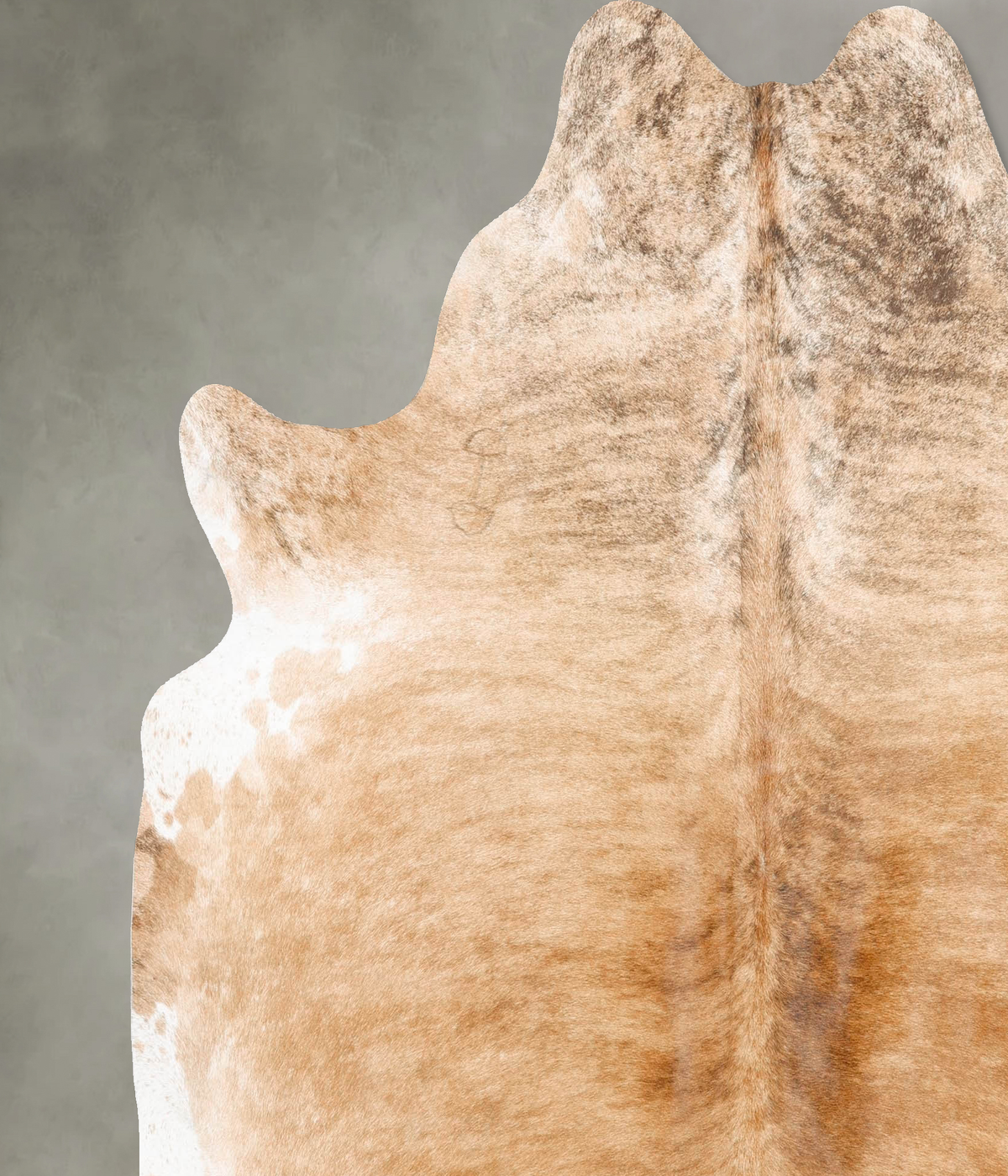 Medium Brindle X-Large Brazilian Cowhide Rug 7'0"H x 6'6"W #B27171 by Hudson Hides
