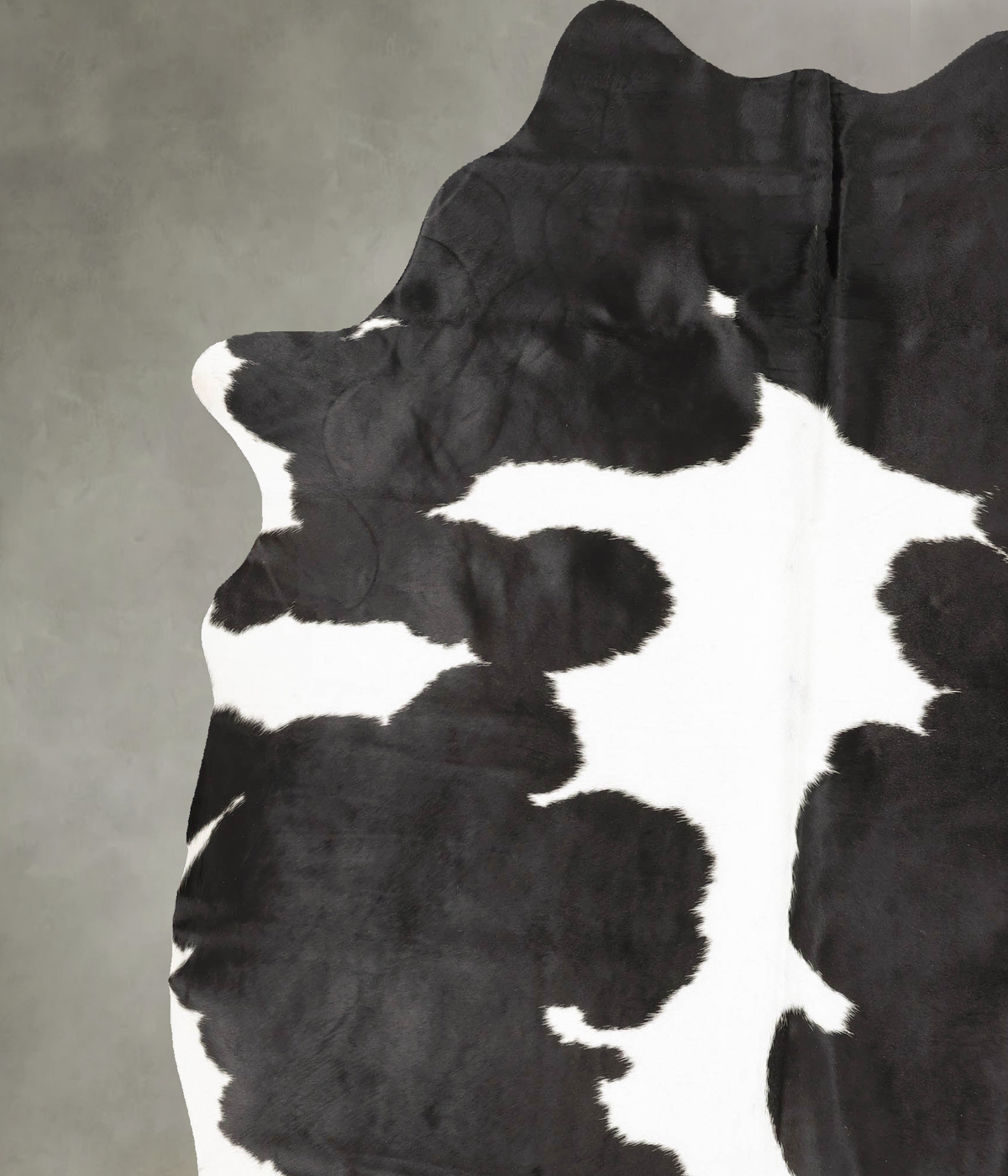 Black and White XX-Large Brazilian Cowhide Rug 7'11"H x 6'8"W #B27172 by Hudson Hides