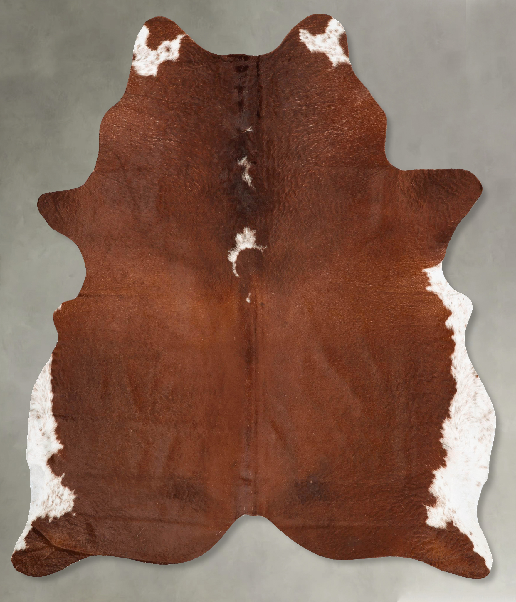 Brown and White Regular Cowhide Rug #B27175