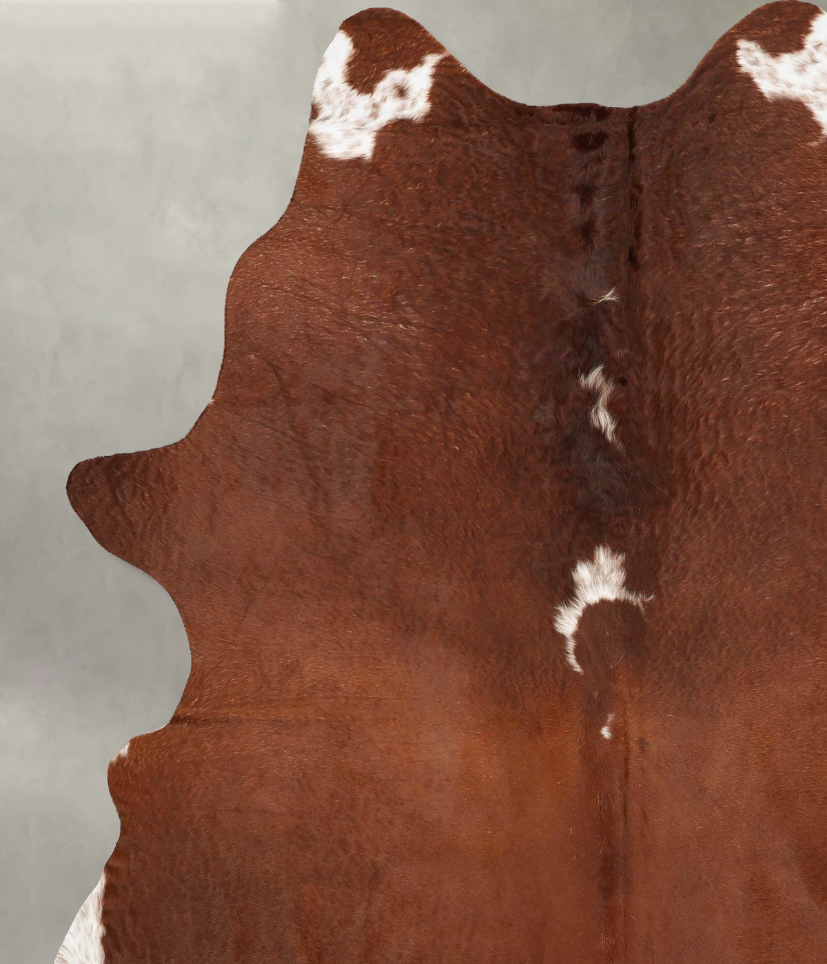 Brown and White Regular XX-Large Brazilian Cowhide Rug 8'5"H x 6'8"W #B27175 by Hudson Hides