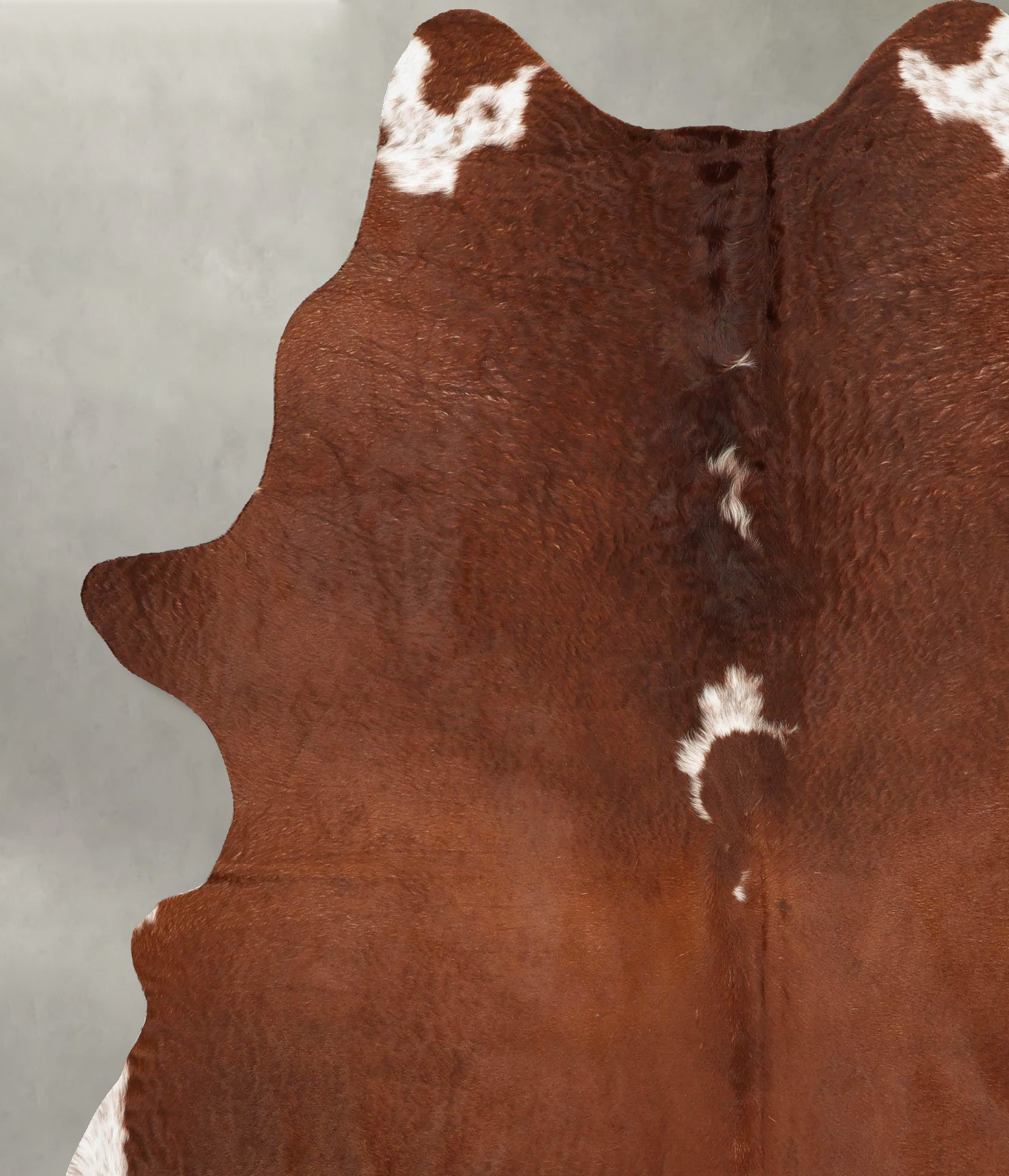 Brown and White Regular Cowhide Rug #B27175