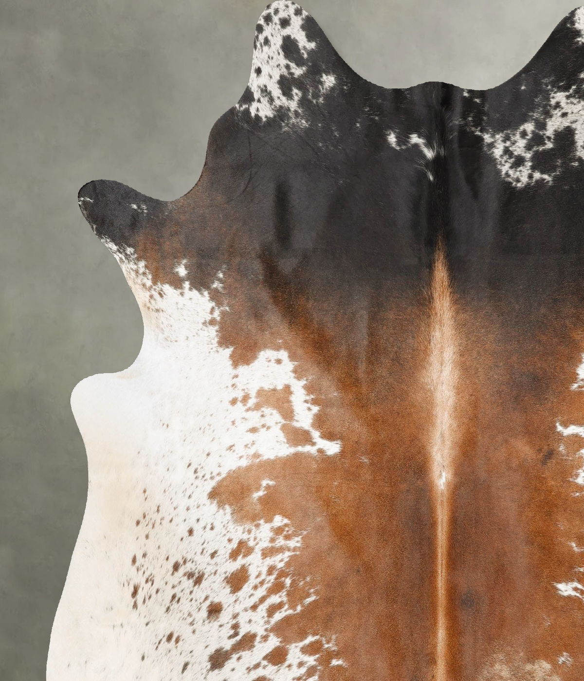 Chocolate and White X-Large Brazilian Cowhide Rug 6'10"H x 6'7"W #B27179 by Hudson Hides