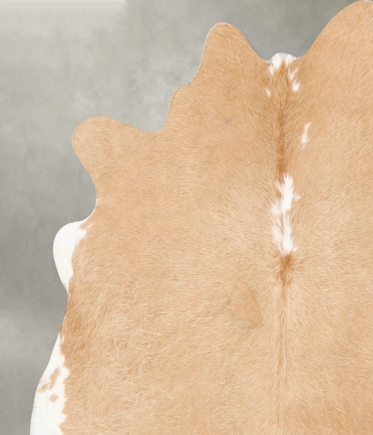 Palomino XX-Large Brazilian Cowhide Rug 7'3"H x 7'0"W #B27182 by Hudson Hides