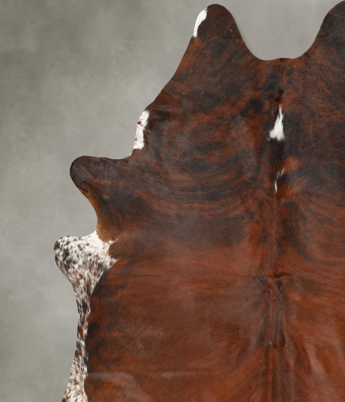 Dark Brindle XX-Large Brazilian Cowhide Rug 8'1"H x 6'11"W #B27185 by Hudson Hides