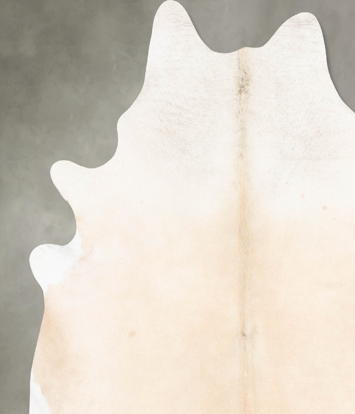 Palomino XX-Large Brazilian Cowhide Rug 8'7"H x 7'1"W #B27188 by Hudson Hides