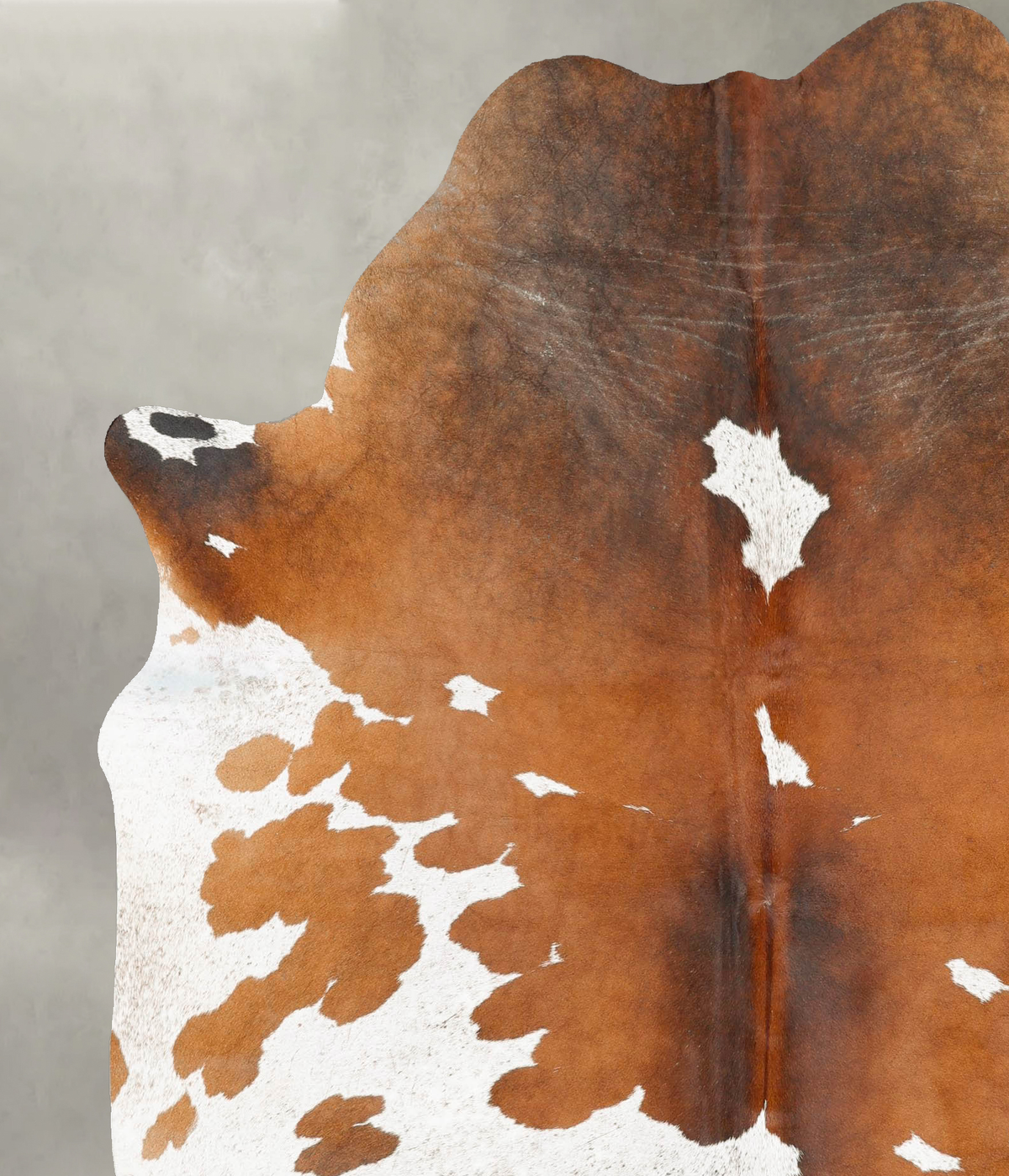 Chocolate and White X-Large Brazilian Cowhide Rug 7'10"H x 6'3"W #B27189 by Hudson Hides