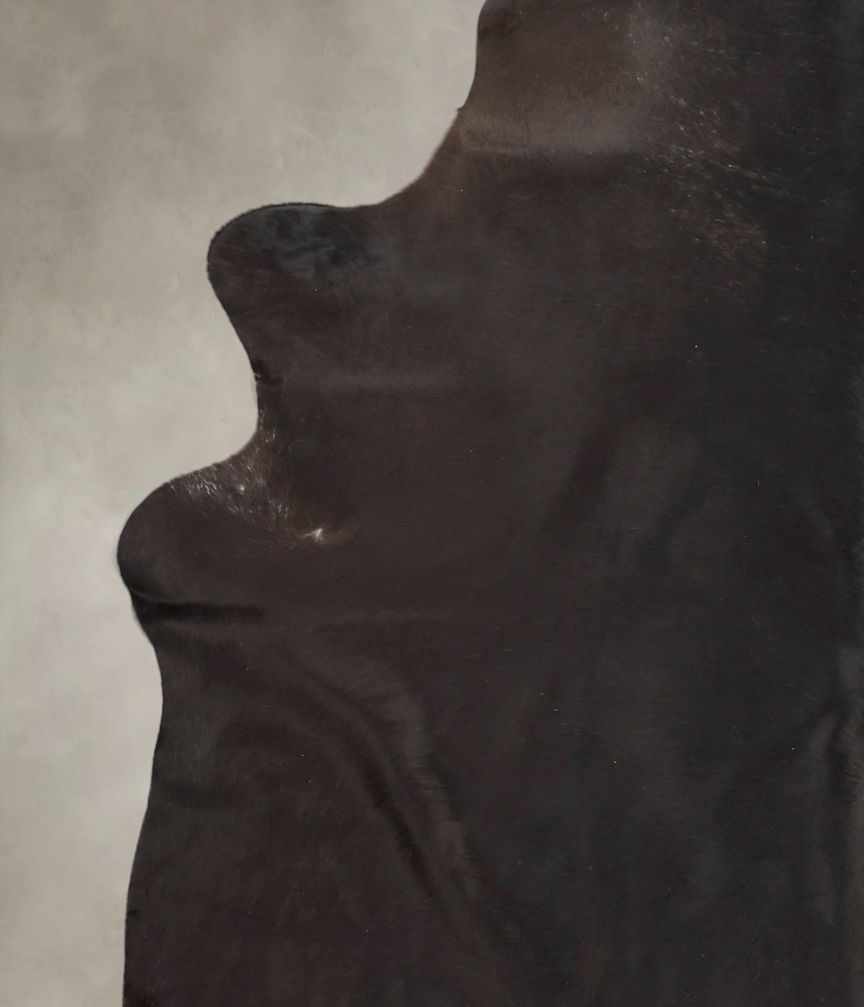 Solid Black Cowhide Rug #B2719