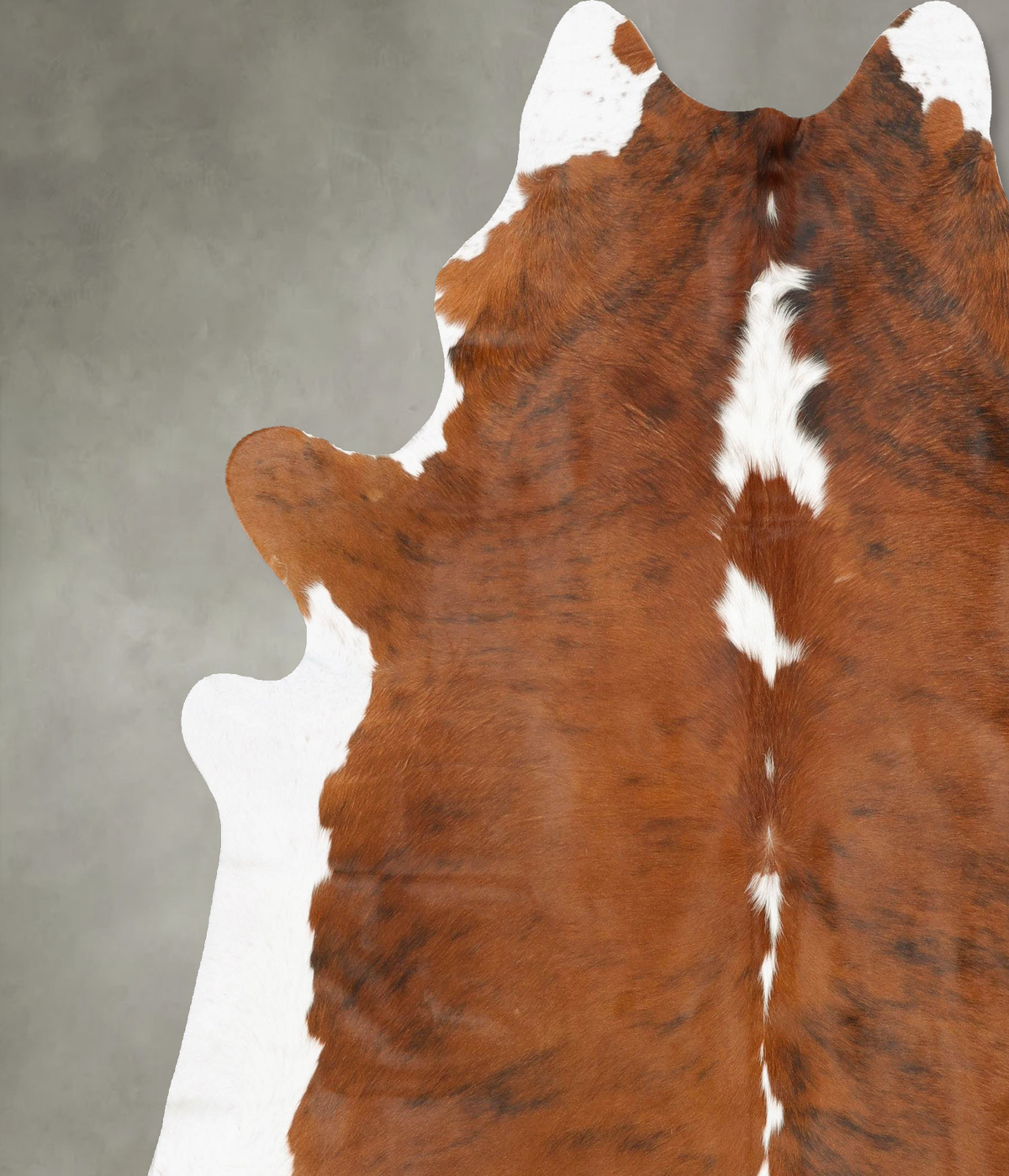 Tricolor XX-Large Brazilian Cowhide Rug 8'2"H x 7'2"W #B27191 by Hudson Hides