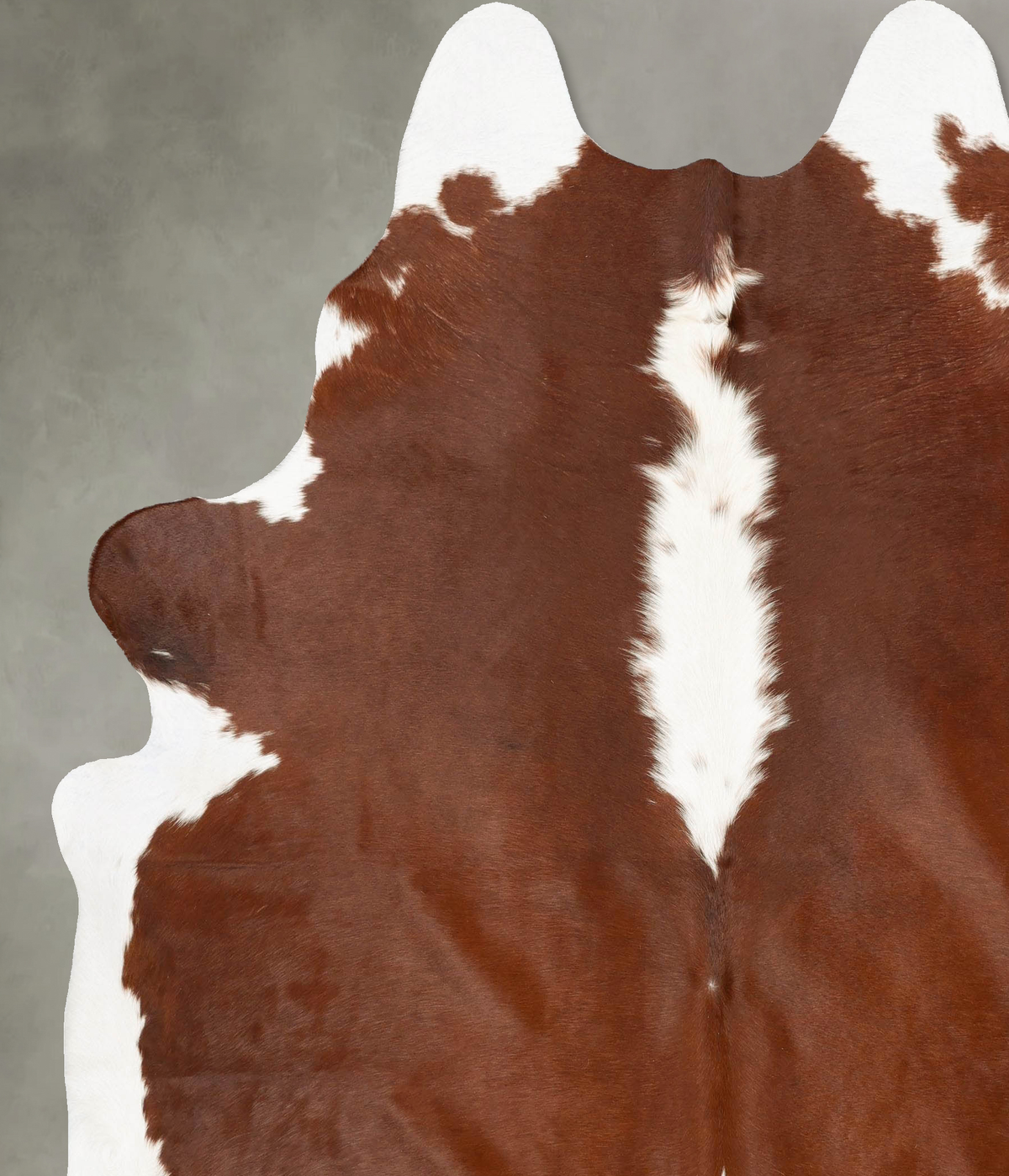 Hereford XX-Large Brazilian Cowhide Rug 8'1"H x 7'0"W #B27192 by Hudson Hides