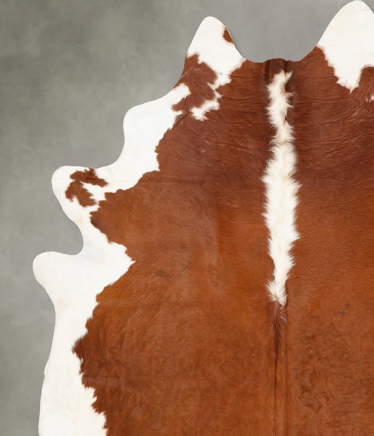 Hereford XX-Large Brazilian Cowhide Rug 8'11"H x 7'3"W #B27196 by Hudson Hides