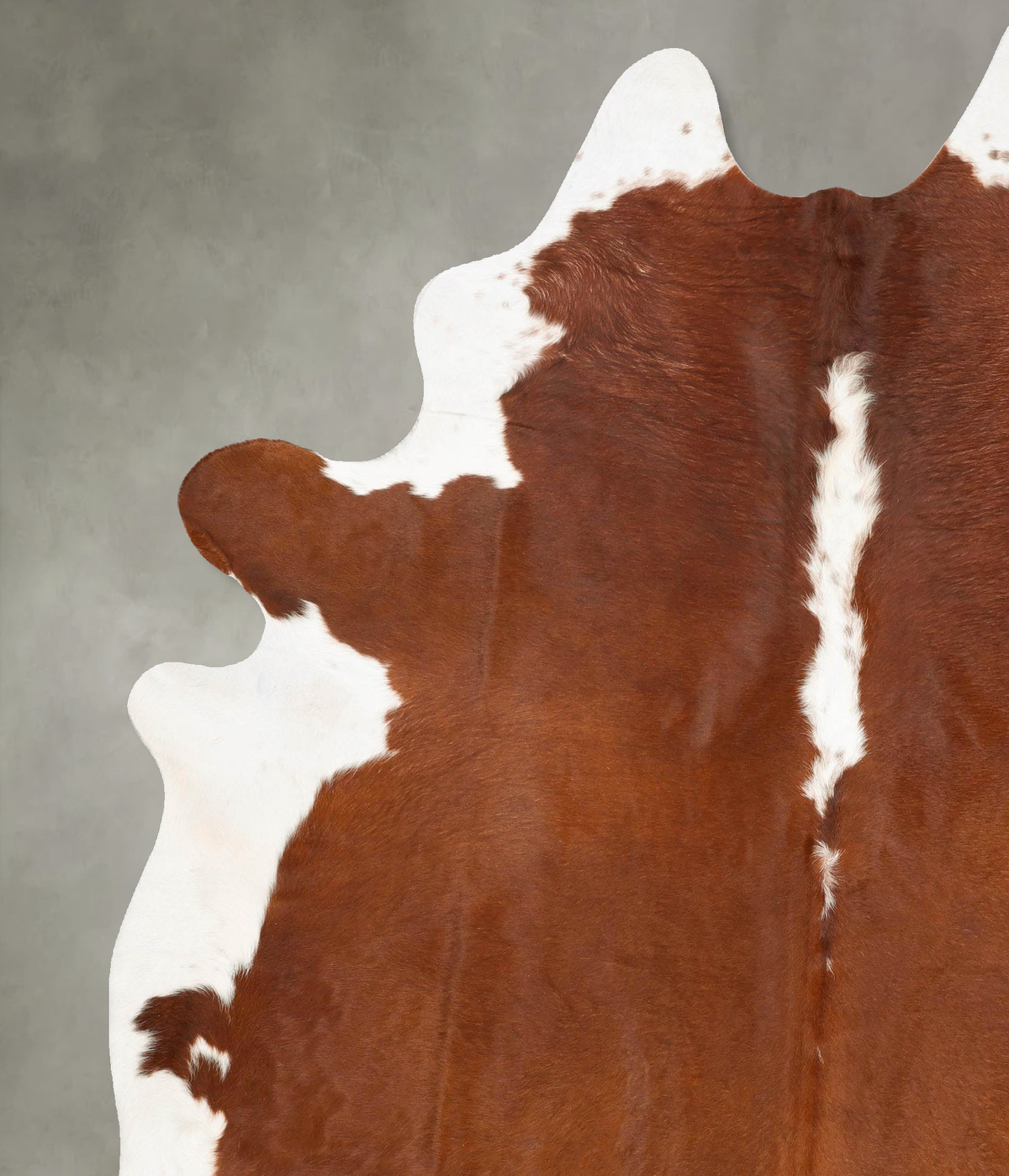 Hereford XX-Large Brazilian Cowhide Rug 8'10"H x 6'9"W #B27198 by Hudson Hides