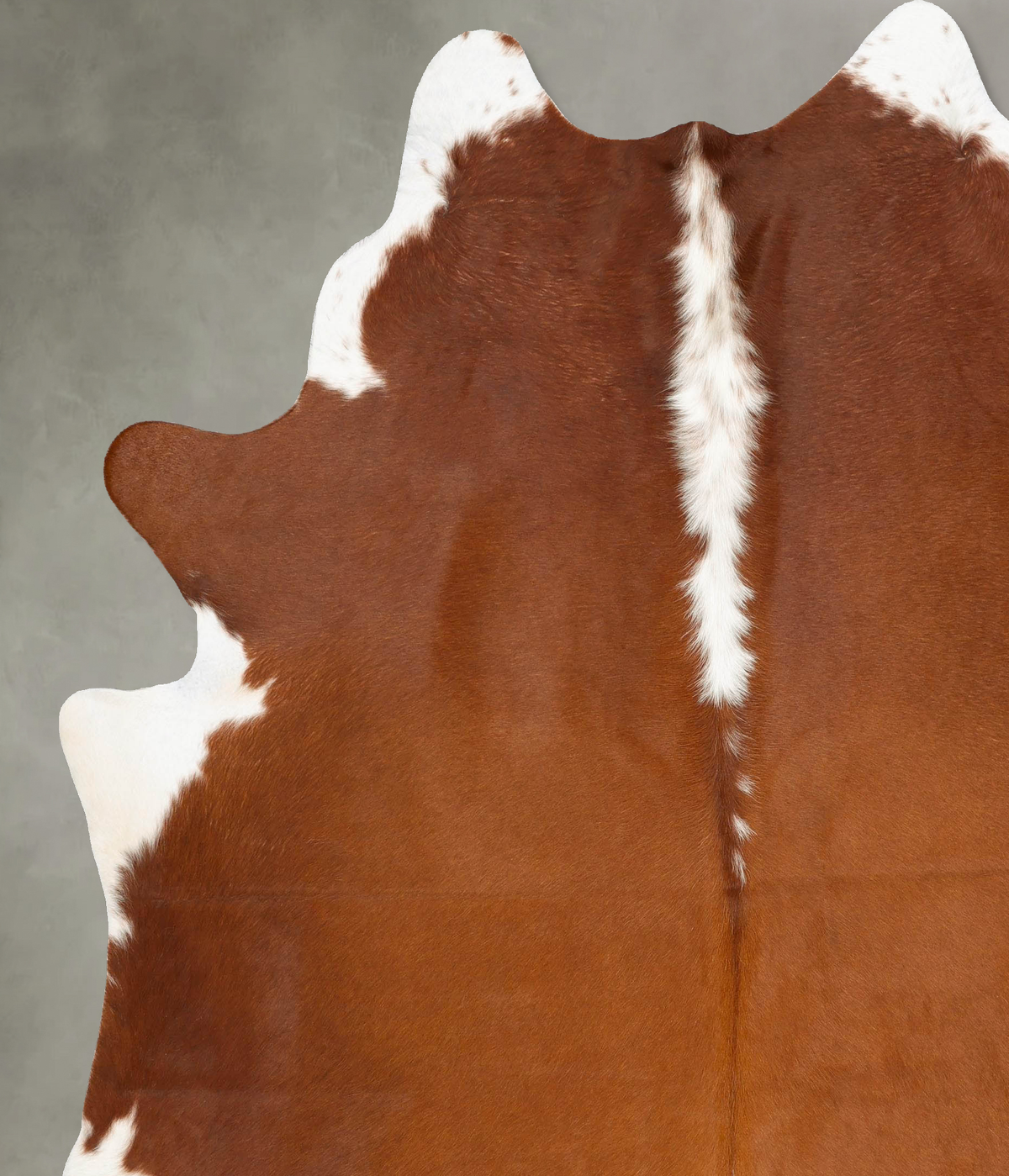 Hereford XX-Large Brazilian Cowhide Rug 8'6"H x 7'3"W #B27200 by Hudson Hides