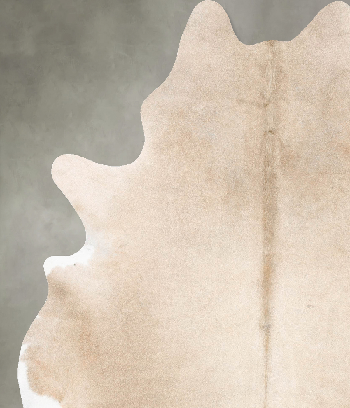 Champagne XX-Large Brazilian Cowhide Rug 7'10"H x 6'6"W #B27202 by Hudson Hides