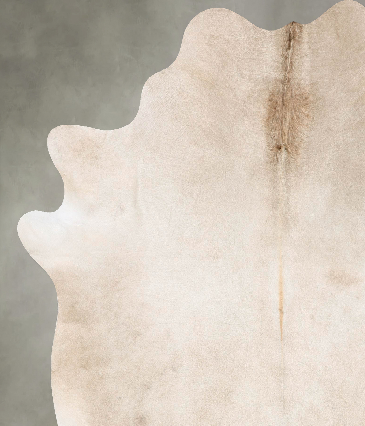 Champagne X-Large Brazilian Cowhide Rug 7'5"H x 6'1"W #B27203 by Hudson Hides