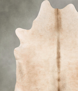 Champagne XX-Large Brazilian Cowhide Rug 7'4"H x 6'11"W #B27204 by Hudson Hides