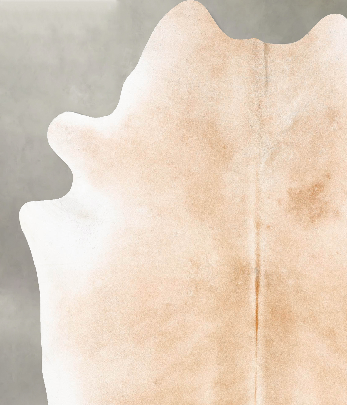 Light Caramel XX-Large Brazilian Cowhide Rug 7'11"H x 6'5"W #B27208 by Hudson Hides