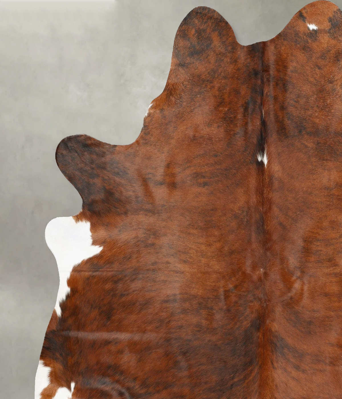 Medium Brindle XX-Large Brazilian Cowhide Rug 7'8"H x 6'7"W #B27213 by Hudson Hides