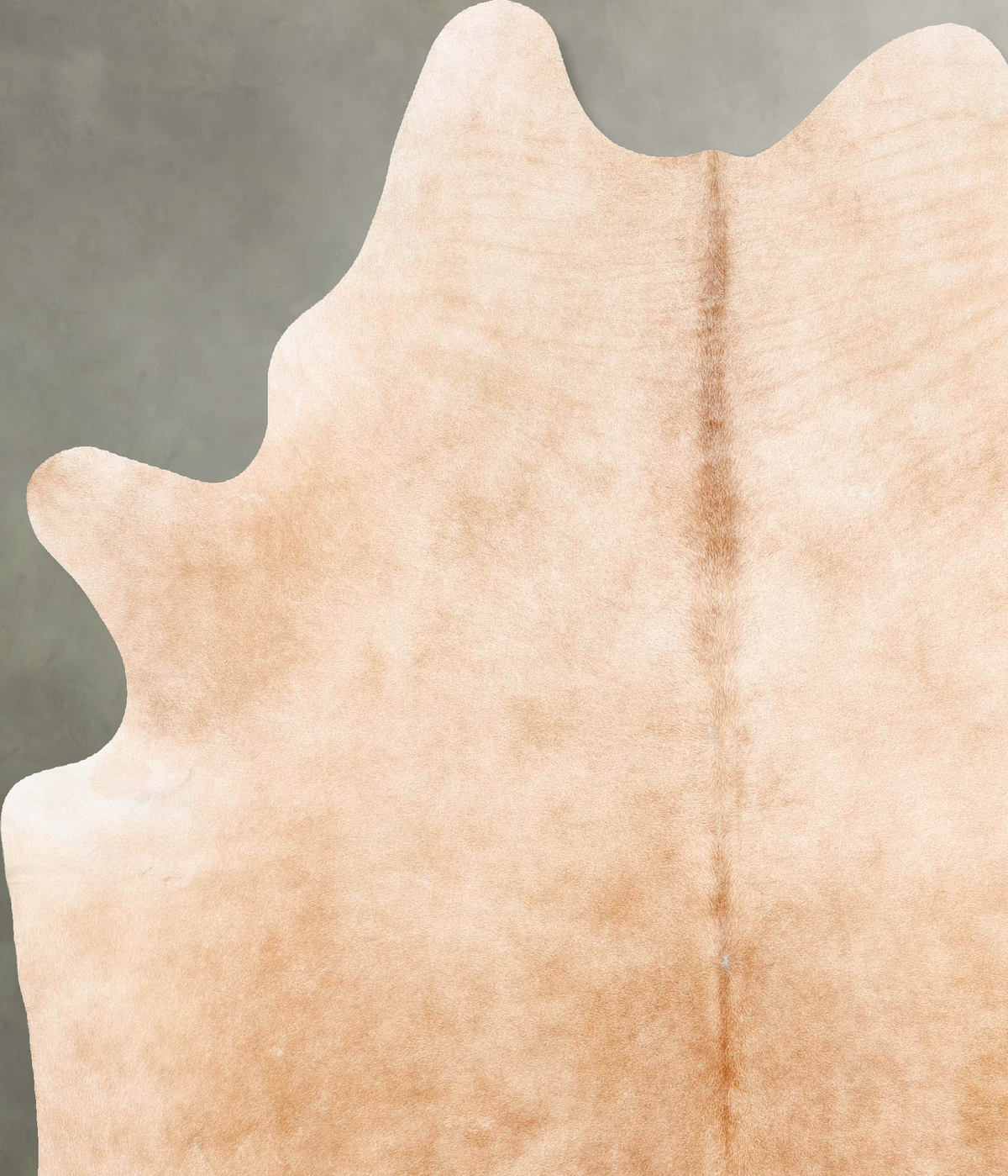Beige XX-Large Brazilian Cowhide Rug 8'4"H x 6'7"W #B27215 by Hudson Hides