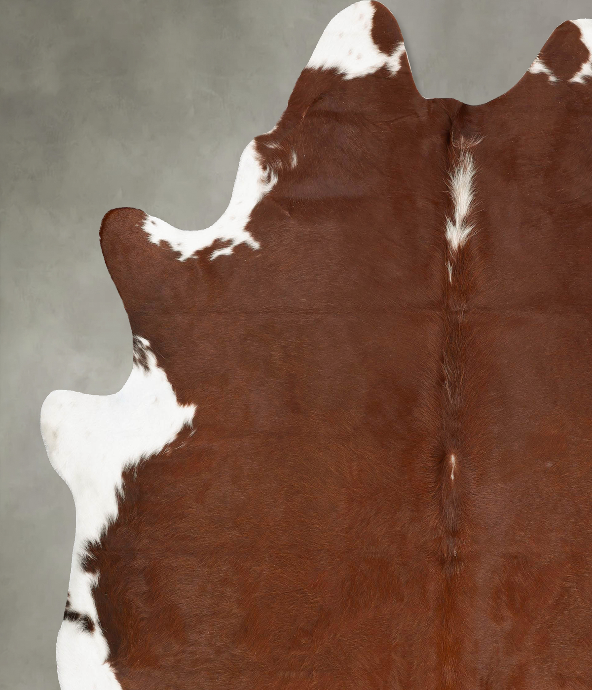 Brown and White Regular XX-Large Brazilian Cowhide Rug 8'8"H x 7'6"W #B27217 by Hudson Hides