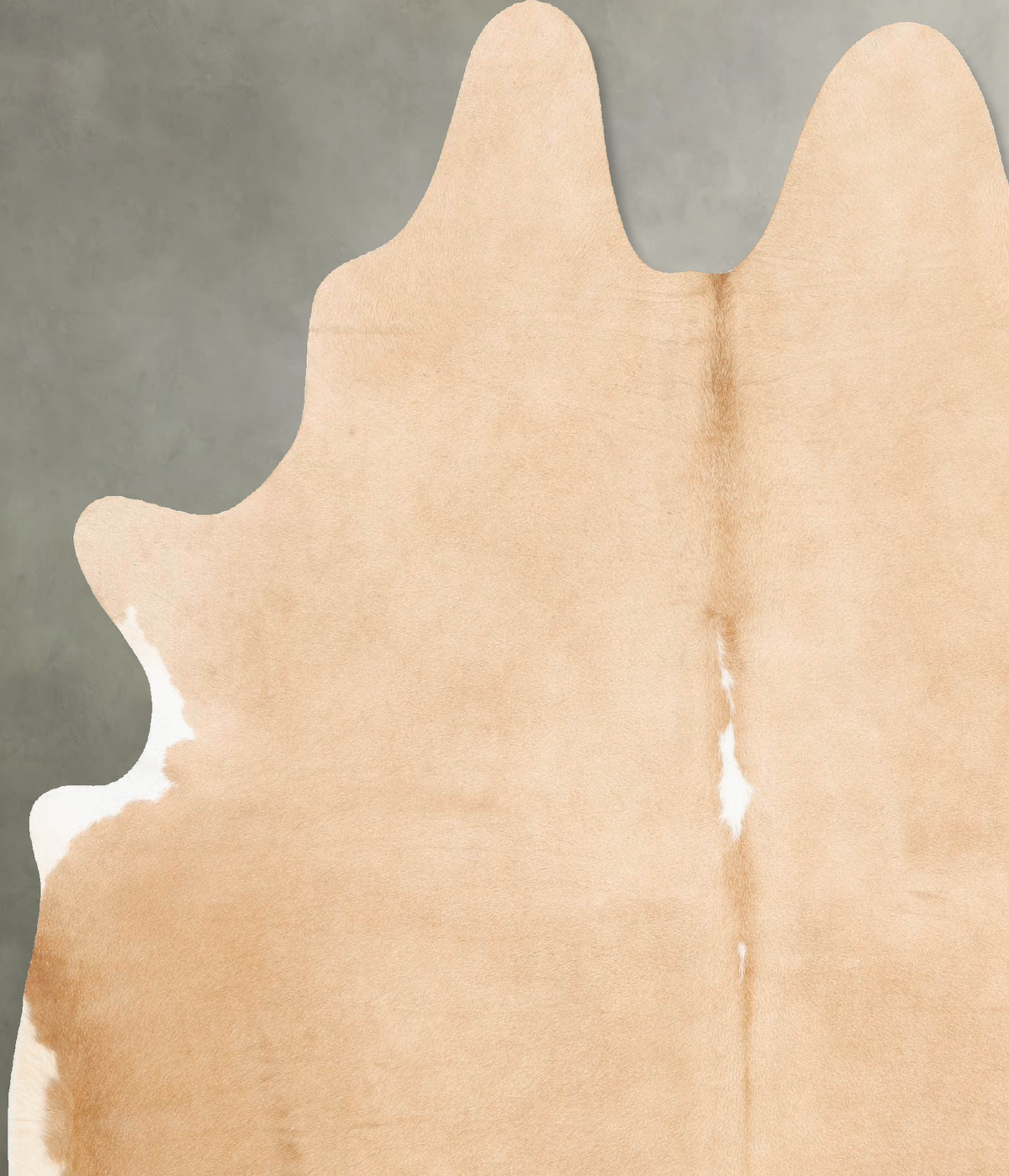 Beige X-Large Brazilian Cowhide Rug 7'3"H x 6'2"W #B27218 by Hudson Hides