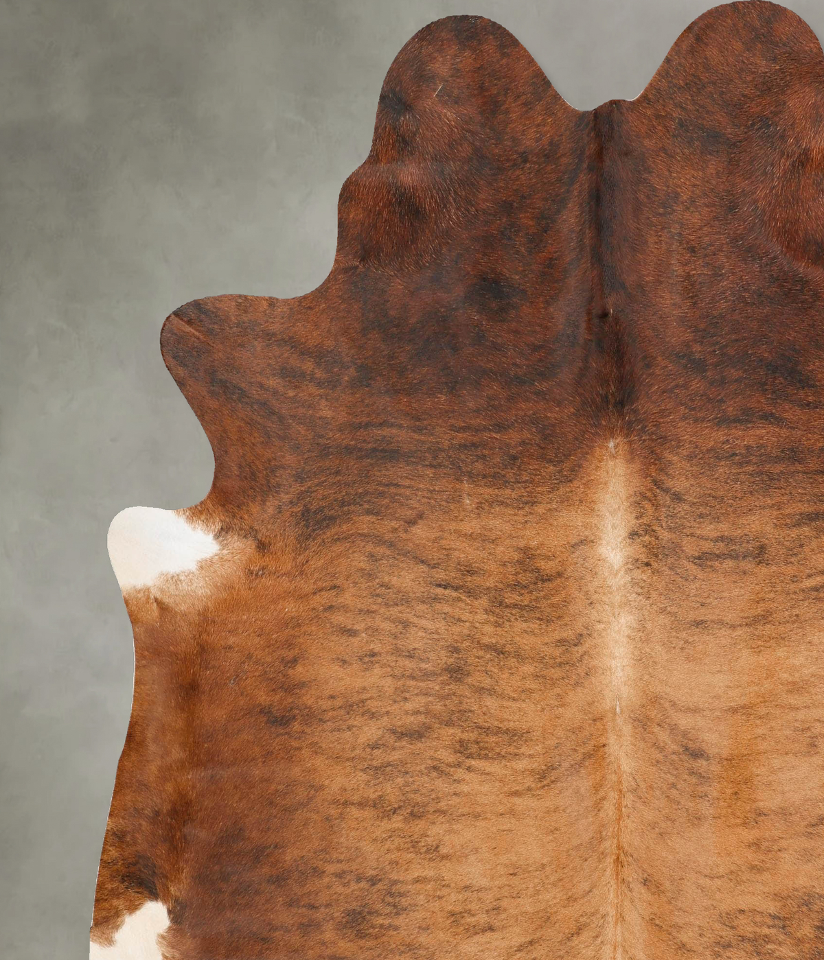 Medium Brindle XX-Large Brazilian Cowhide Rug 7'8"H x 6'7"W #B27219 by Hudson Hides