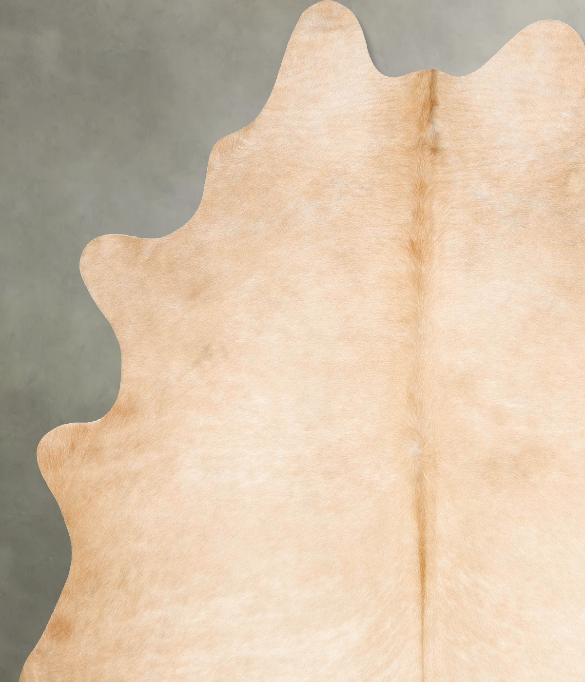 Beige XX-Large Brazilian Cowhide Rug 8'7"H x 6'9"W #B27222 by Hudson Hides