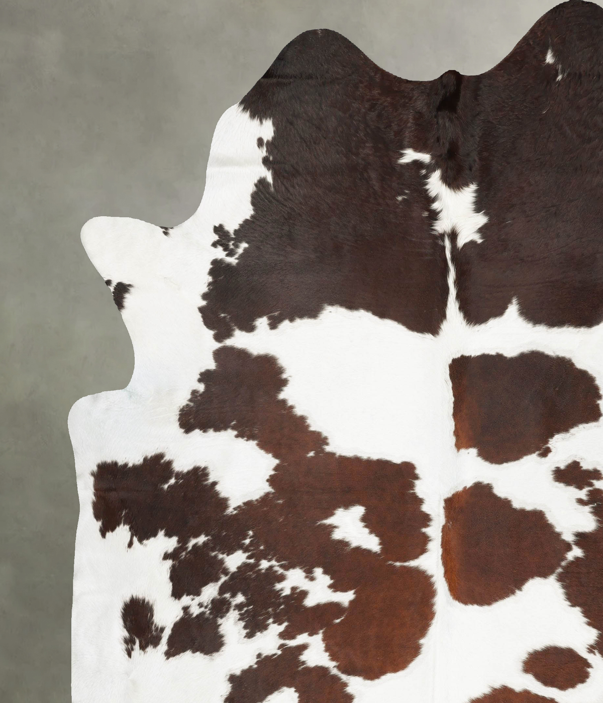 Brown and White XX-Large Brazilian Cowhide Rug 9'1"H x 7'3"W #B27223 by Hudson Hides