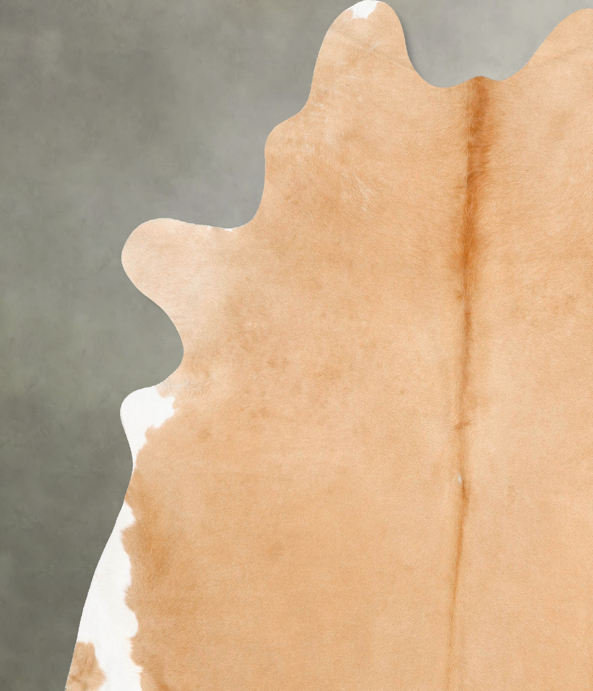 Beige XX-Large Brazilian Cowhide Rug 8'8"H x 7'9"W #B27228 by Hudson Hides