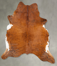 Medium Brindle XX-Large Brazilian Cowhide Rug 8'1"H x 6'10"W #B27230 by Hudson Hides
