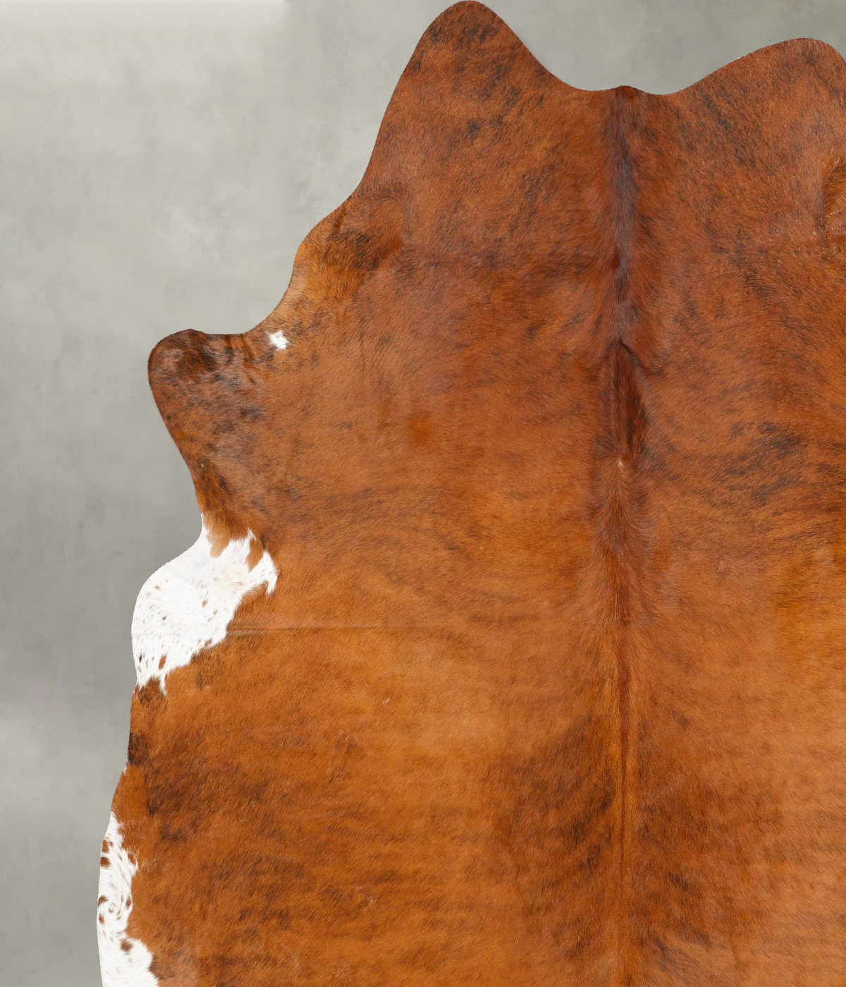 Medium Brindle XX-Large Brazilian Cowhide Rug 8'1"H x 6'10"W #B27230 by Hudson Hides