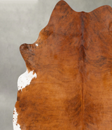 Medium Brindle XX-Large Brazilian Cowhide Rug 8'1"H x 6'10"W #B27230 by Hudson Hides